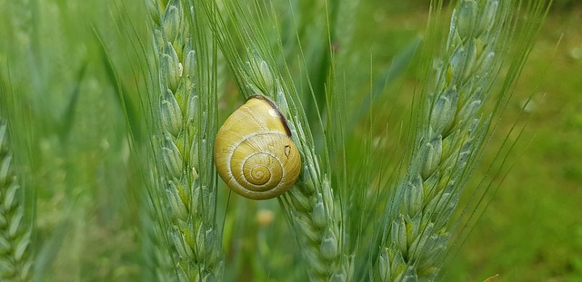 Jak uszczelnić chłodnicę domowym sposobem?