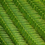 Jaka powierzchnia spania dla 2 osób?