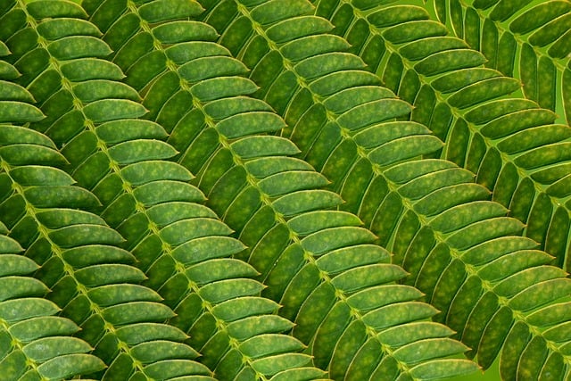 Jaka powierzchnia spania dla 2 osób?