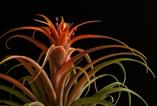 Co to znaczy że ostrze jest gładkie?