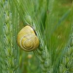 Czym uszczelnić korek spustowy oleju?