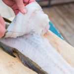 Jaki nóż do filetowania ryb forum?