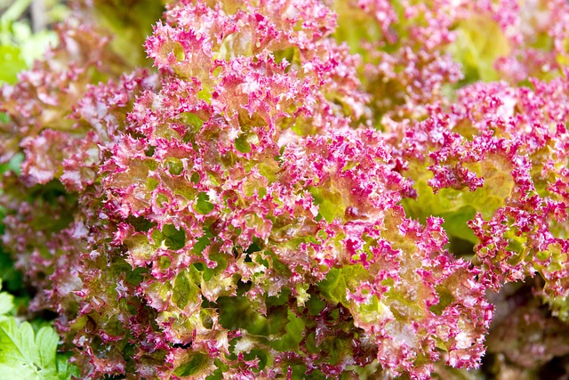 W jakiej pościeli się nie pocisz?