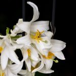 Jak układać rzeczy na regale?