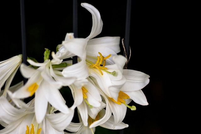 Jak układać rzeczy na regale?