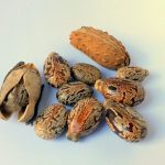 Czy można jeździć bez korka wlewu oleju?