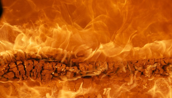 Co z marką SsangYong?