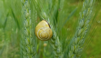 Czym uszczelnić korek spustowy oleju?