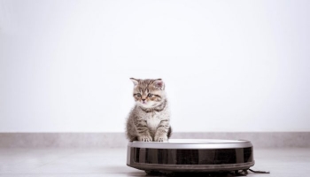 Jak wybrać odkurzacz samojezdny?